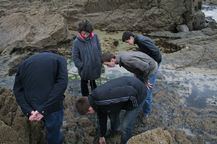 sortie Cotentin 099